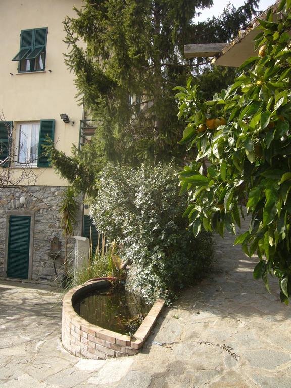 Agriturismo Olivarancio Leivi Екстер'єр фото