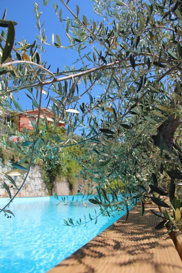 Agriturismo Olivarancio Leivi Екстер'єр фото